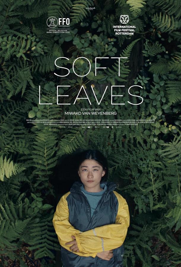 Нежные листья