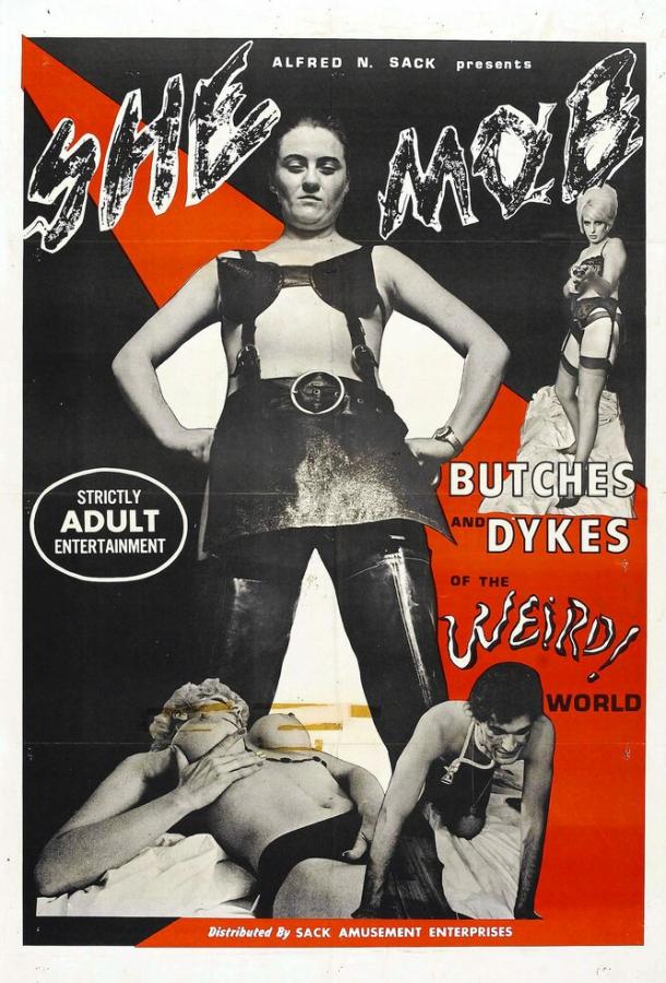 Девичья шайка