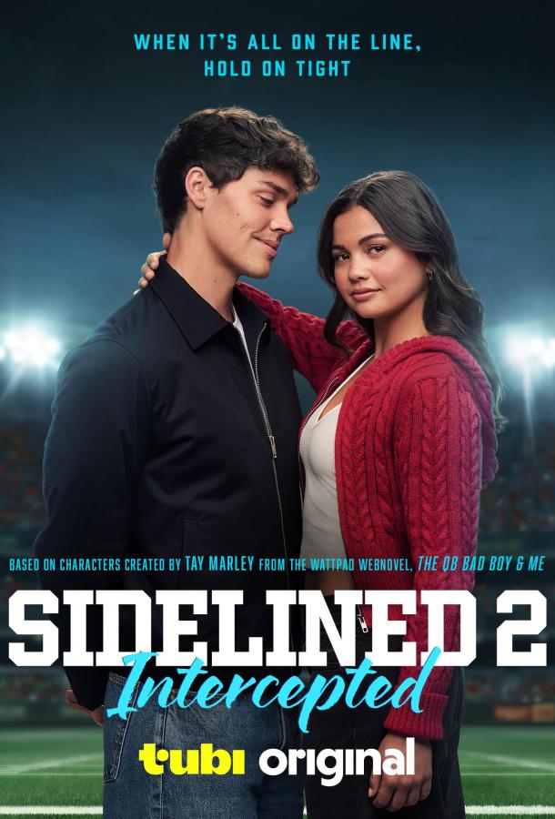 Плохой парень и я 2: перехват