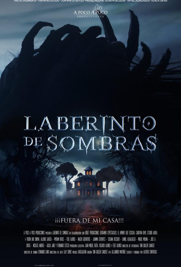 Лабиринт теней